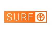 מועדון גלישה Surfo - קריית ים