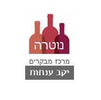 יקב ענתות - מרכז מבקרים נוטרה - כפר ענתות (עלמון)