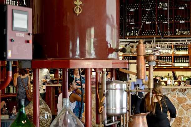 טעימות ביקבי תשבי